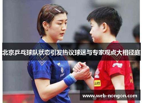 北京乒乓球队状态引发热议球迷与专家观点大相径庭