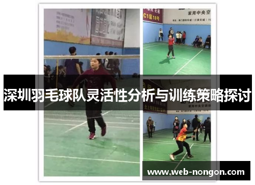 深圳羽毛球队灵活性分析与训练策略探讨