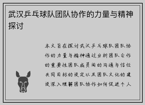 武汉乒乓球队团队协作的力量与精神探讨