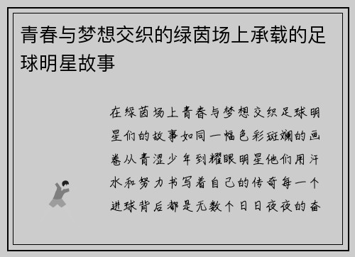 青春与梦想交织的绿茵场上承载的足球明星故事