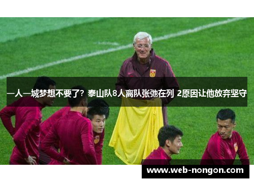 一人一城梦想不要了？泰山队8人离队张弛在列 2原因让他放弃坚守