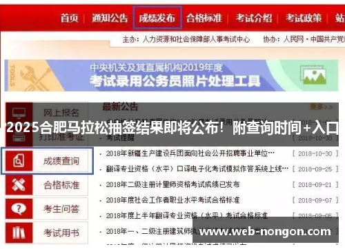 2025合肥马拉松抽签结果即将公布！附查询时间+入口